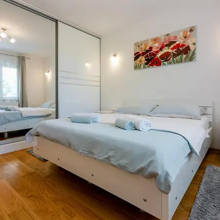 Olive * سيلتسي