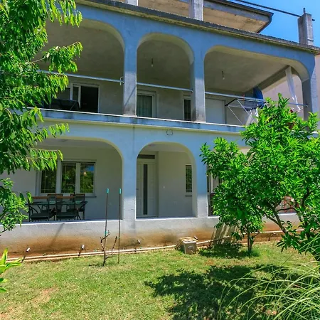 Olive * سيلتسي