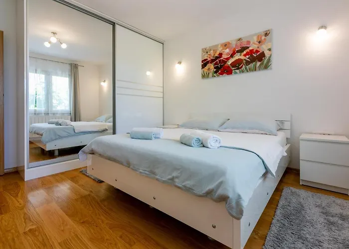 Olive * セルツェ